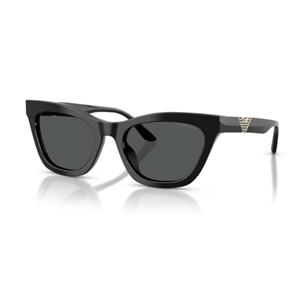 GÜNEŞ GÖZLÜĞÜ EMPORIO ARMANI EA 0EA4259U 507787 55-20 140 G