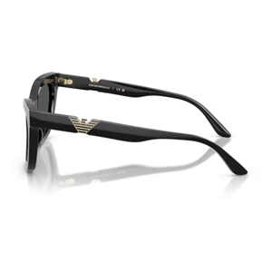 GÜNEŞ GÖZLÜĞÜ EMPORIO ARMANI EA 0EA4259U 507787 55-20 140 G