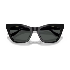 GÜNEŞ GÖZLÜĞÜ EMPORIO ARMANI EA 0EA4259U 507787 55-20 140 G