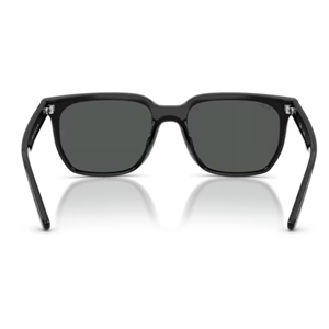 GÜNEŞ GÖZLÜĞÜ Ray-Ban RB 0RB4466D 601/87 47 145 G