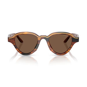GÜNEŞ GÖZLÜĞÜ EMPORIO ARMANI EA 0EA4264U 633973 47-20 145 G
