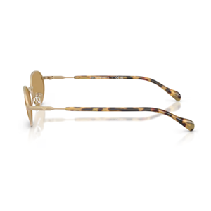 GÜNEŞ GÖZLÜĞÜ EMPORIO ARMANI EA 0EA2175 300273 54-19 145 G