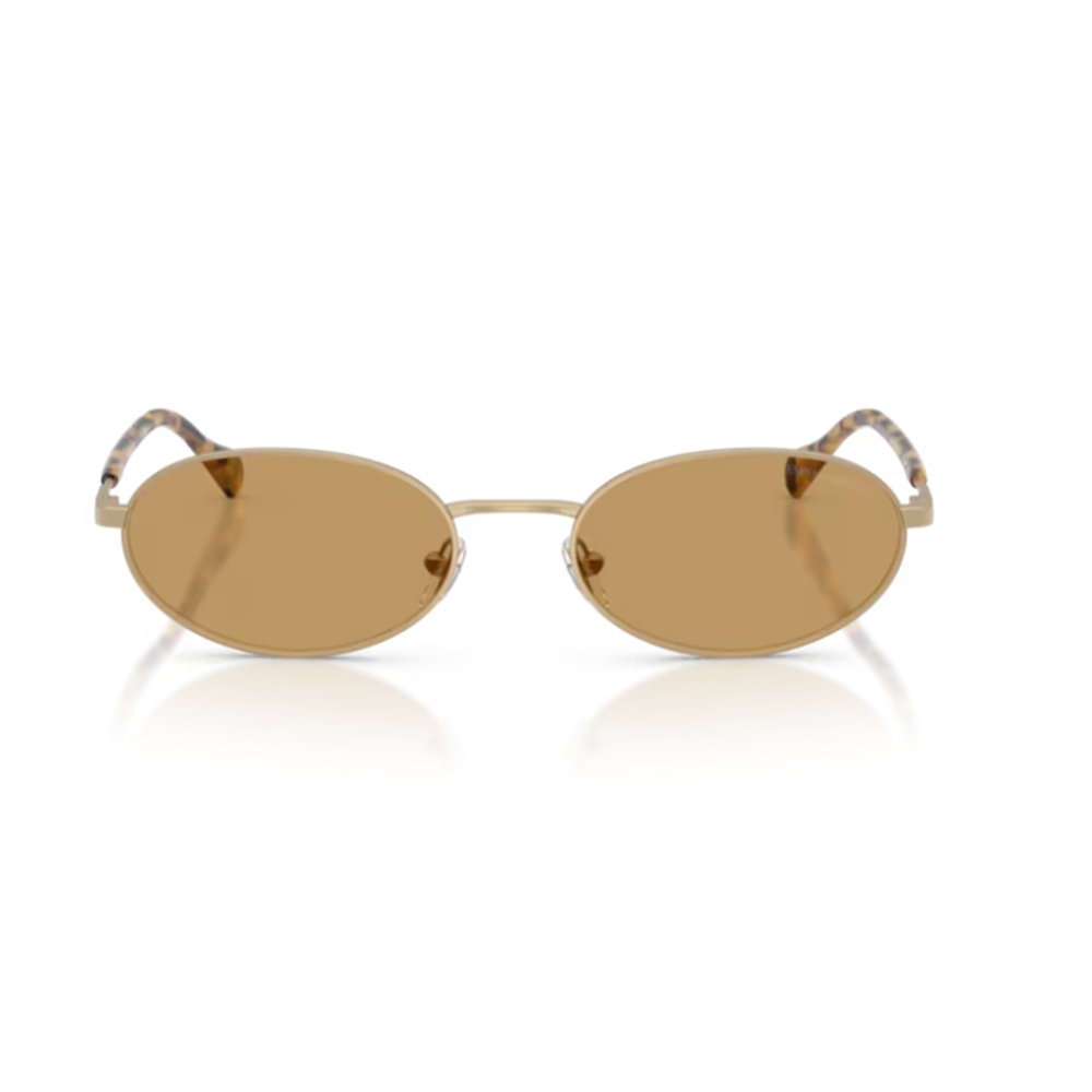 GÜNEŞ GÖZLÜĞÜ EMPORIO ARMANI EA 0EA2175 300273 54-19 145 G