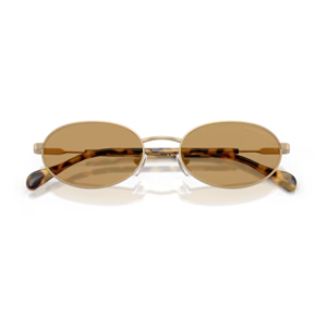 GÜNEŞ GÖZLÜĞÜ EMPORIO ARMANI EA 0EA2175 300273 54-19 145 G