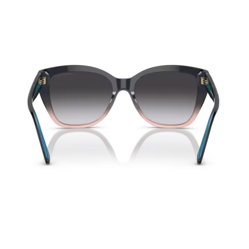 GÜNEŞ GÖZLÜĞÜ EMPORIO ARMANI EA 0EA4198 59918G 55-17 140 G