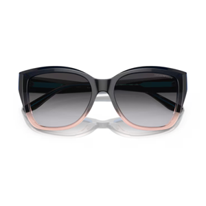 GÜNEŞ GÖZLÜĞÜ EMPORIO ARMANI EA 0EA4198 59918G 55-17 140 G
