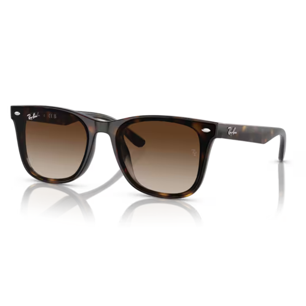 GÜNEŞ GÖZLÜĞÜ Ray-Ban RB 0RB4420 710/13 65-18 145 G