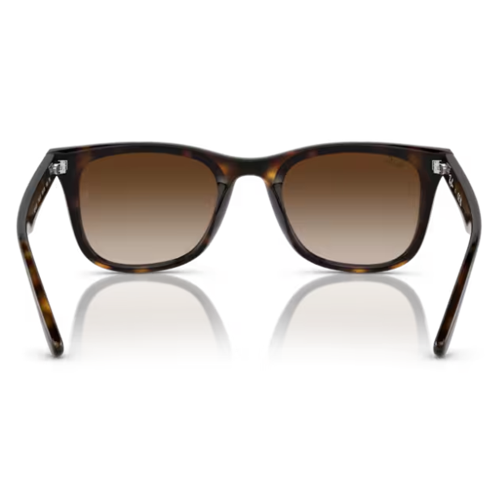 GÜNEŞ GÖZLÜĞÜ Ray-Ban RB 0RB4420 710/13 65-18 145 G