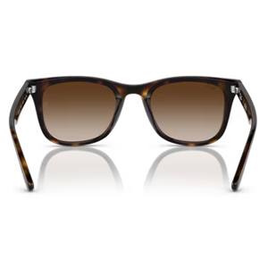 GÜNEŞ GÖZLÜĞÜ Ray-Ban RB 0RB4420 710/13 65-18 145 G