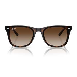 GÜNEŞ GÖZLÜĞÜ Ray-Ban RB 0RB4420 710/13 65-18 145 G