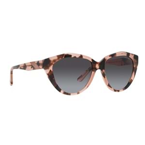 GÜNEŞ GÖZLÜĞÜ EMPORIO ARMANI EA 4178 5410/8G 54-17140 G